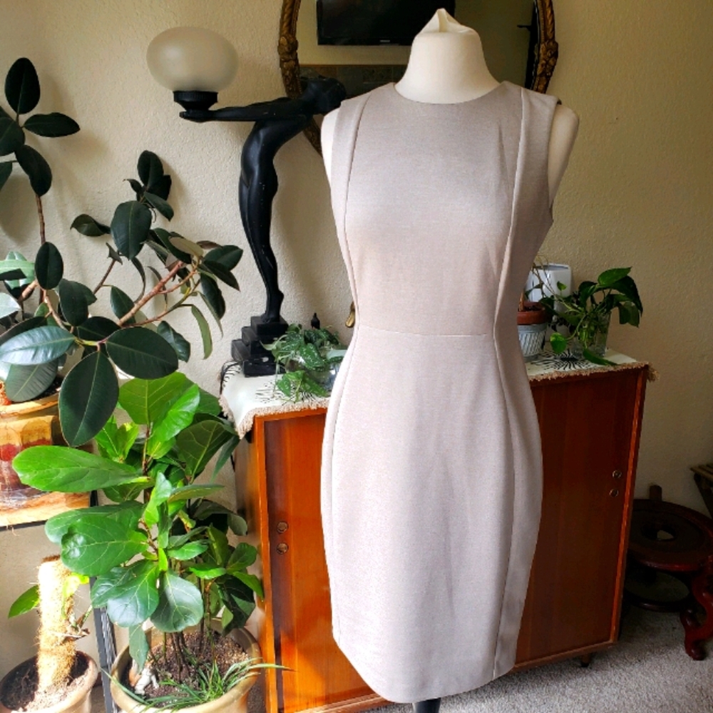 Work Professional dress sleeveless Taupe Calvin Klein Dress